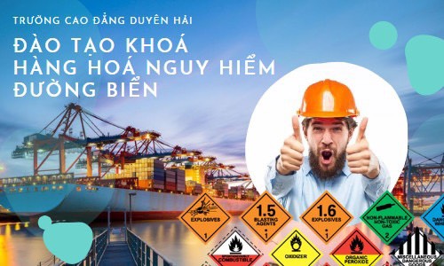 Đào tạo cấp chứng chỉ hàng hóa nguy hiểm đường biển