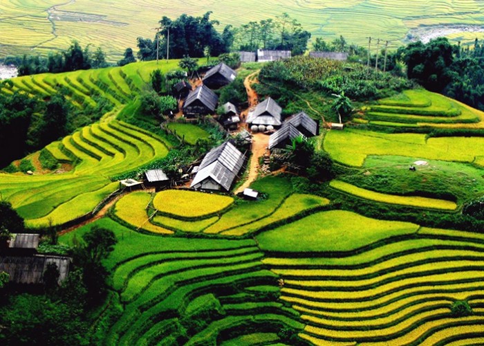 Bản Cát Cát Nhìn Từ Trên Cao 